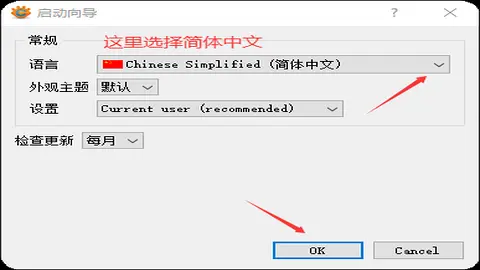 XnView MP 设置语言界面